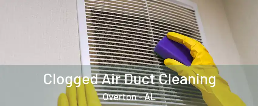 Clogged Air Duct Cleaning Overton - AL