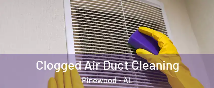 Clogged Air Duct Cleaning Pinewood - AL