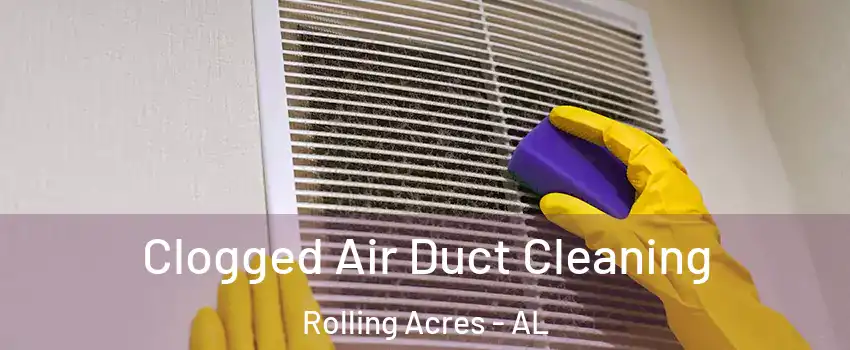 Clogged Air Duct Cleaning Rolling Acres - AL