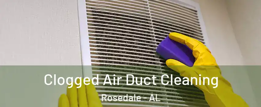 Clogged Air Duct Cleaning Rosedale - AL