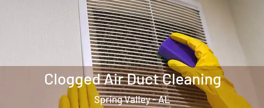 Clogged Air Duct Cleaning Spring Valley - AL