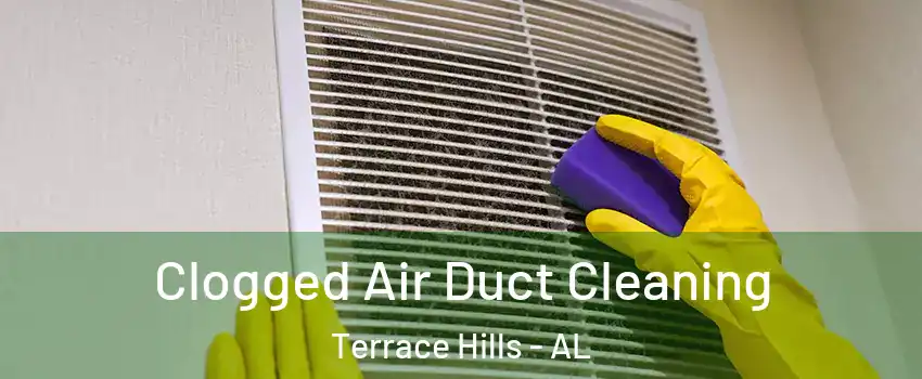 Clogged Air Duct Cleaning Terrace Hills - AL