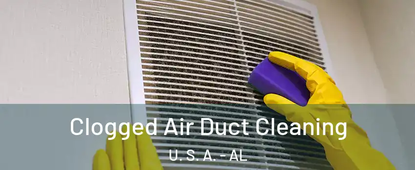 Clogged Air Duct Cleaning U. S. A. - AL