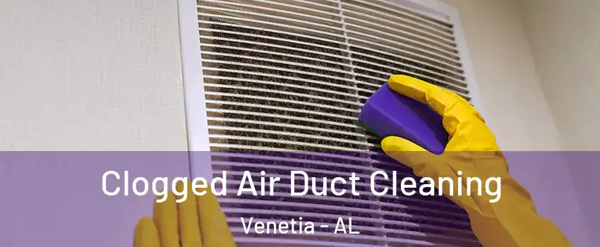 Clogged Air Duct Cleaning Venetia - AL