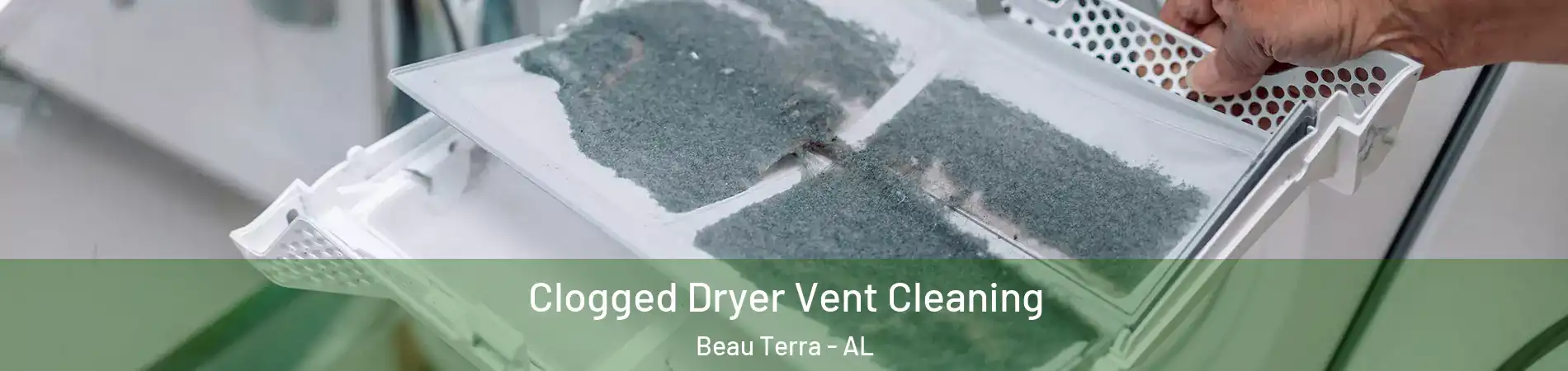 Clogged Dryer Vent Cleaning Beau Terra - AL