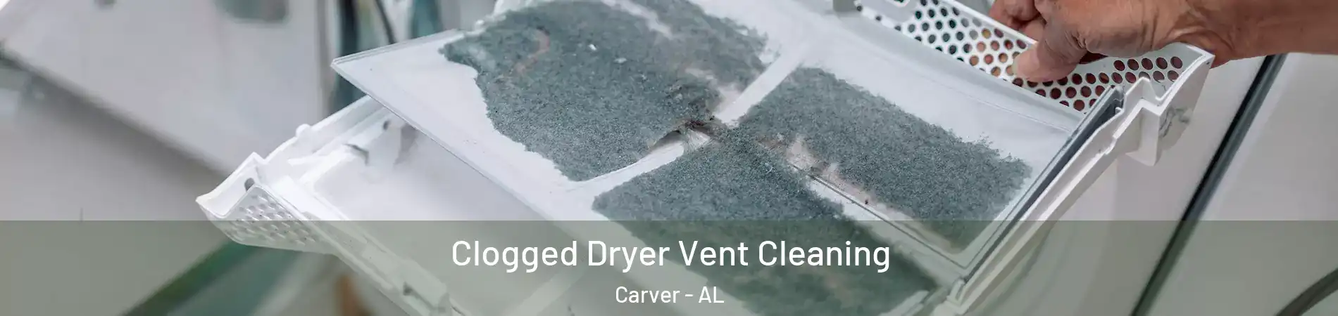Clogged Dryer Vent Cleaning Carver - AL