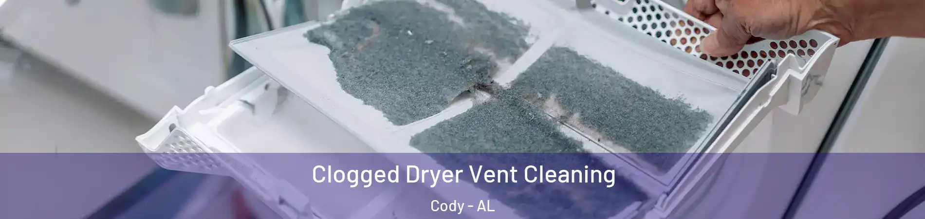 Clogged Dryer Vent Cleaning Cody - AL