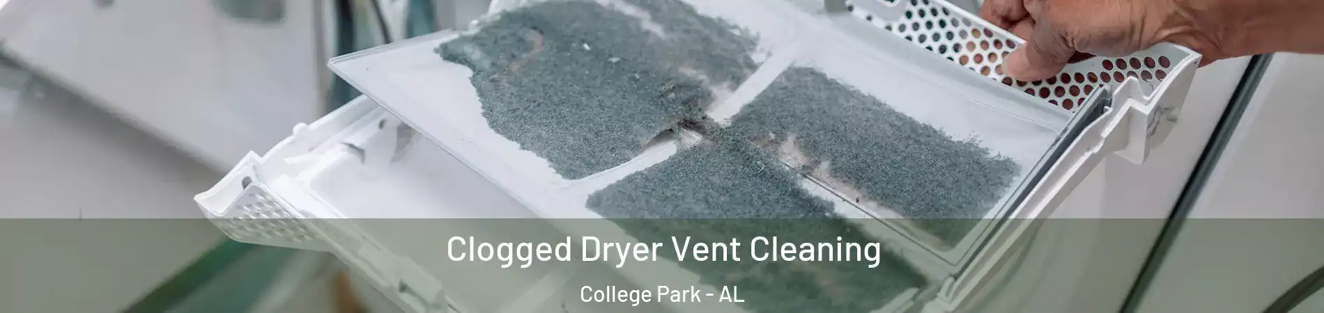 Clogged Dryer Vent Cleaning College Park - AL