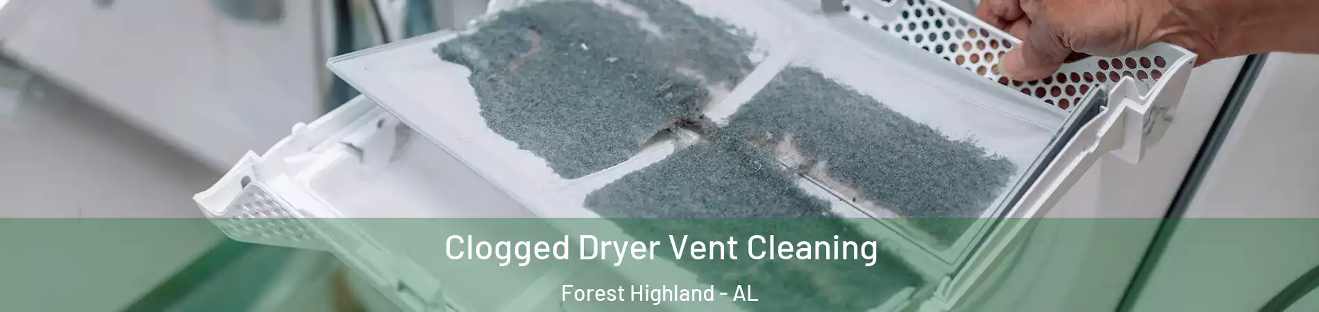Clogged Dryer Vent Cleaning Forest Highland - AL