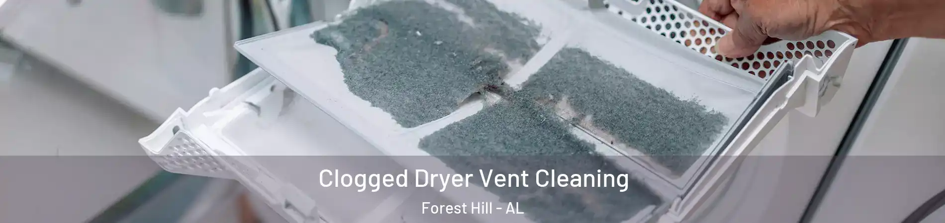 Clogged Dryer Vent Cleaning Forest Hill - AL