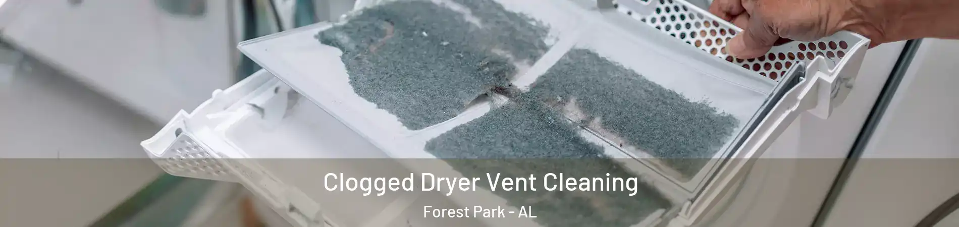 Clogged Dryer Vent Cleaning Forest Park - AL
