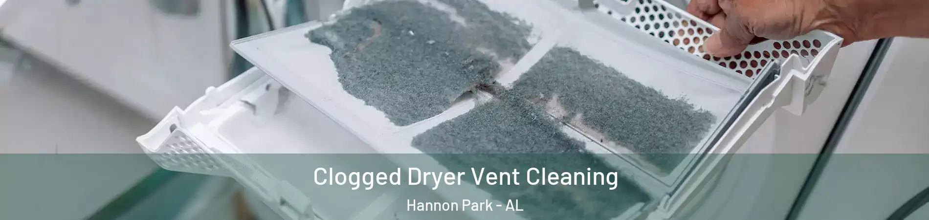 Clogged Dryer Vent Cleaning Hannon Park - AL