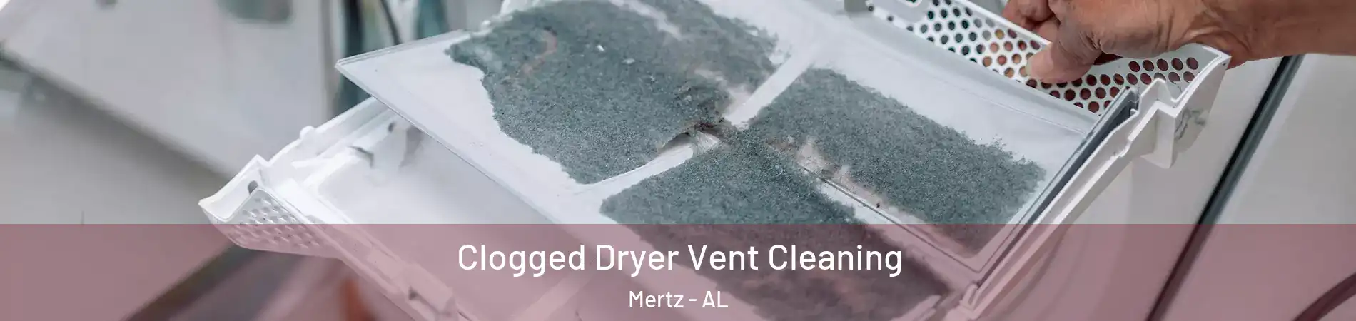 Clogged Dryer Vent Cleaning Mertz - AL