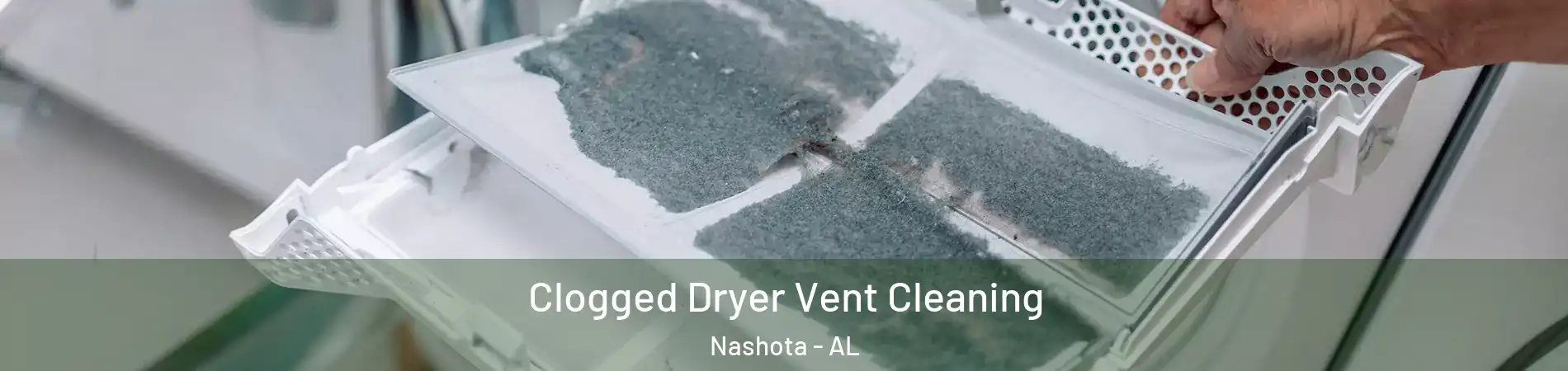 Clogged Dryer Vent Cleaning Nashota - AL