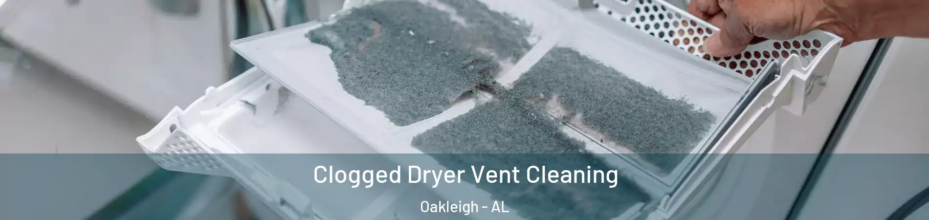 Clogged Dryer Vent Cleaning Oakleigh - AL