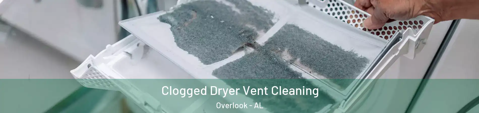 Clogged Dryer Vent Cleaning Overlook - AL