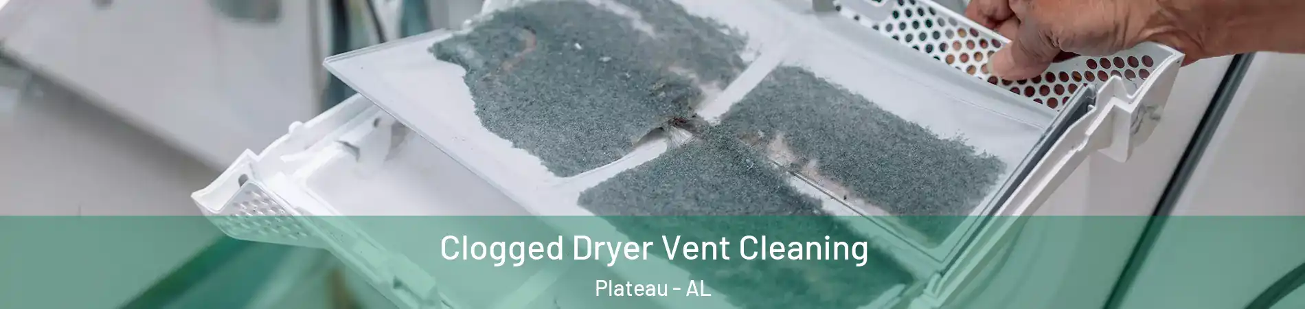 Clogged Dryer Vent Cleaning Plateau - AL