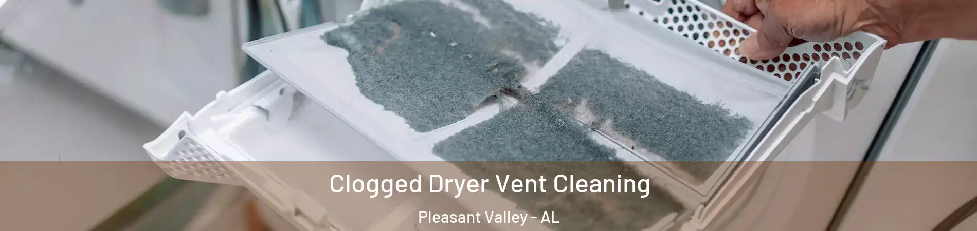 Clogged Dryer Vent Cleaning Pleasant Valley - AL