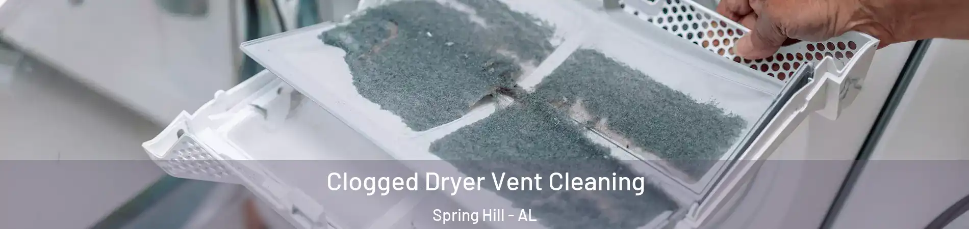 Clogged Dryer Vent Cleaning Spring Hill - AL