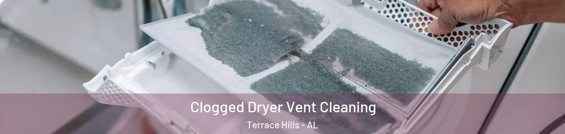 Clogged Dryer Vent Cleaning Terrace Hills - AL