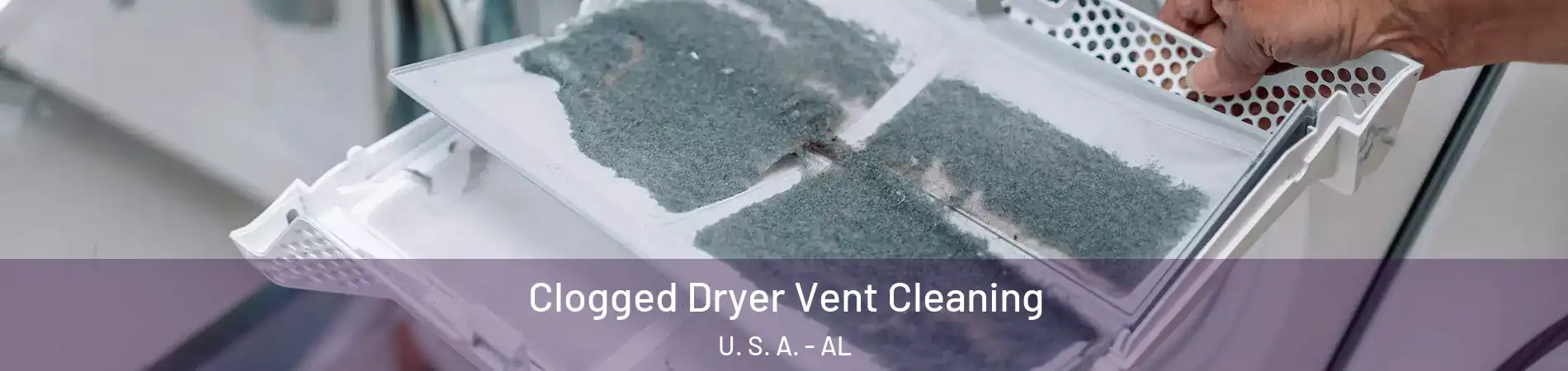 Clogged Dryer Vent Cleaning U. S. A. - AL