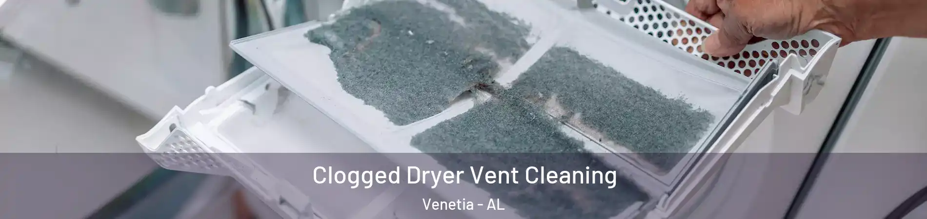 Clogged Dryer Vent Cleaning Venetia - AL