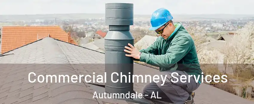 Commercial Chimney Services Autumndale - AL
