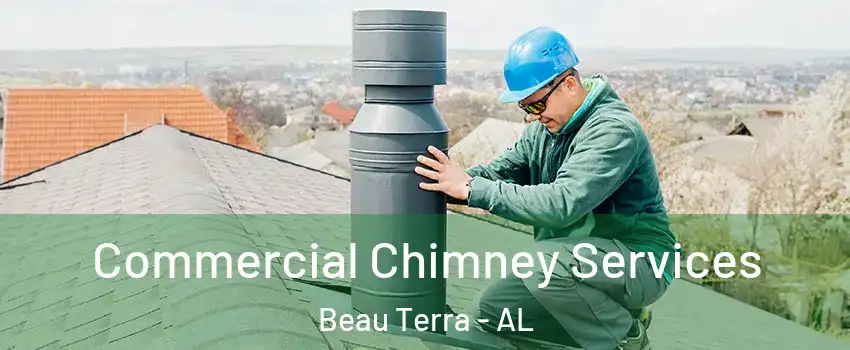 Commercial Chimney Services Beau Terra - AL