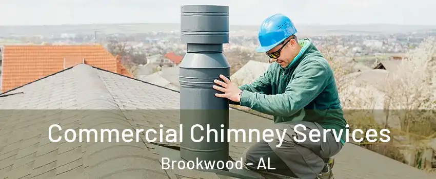 Commercial Chimney Services Brookwood - AL