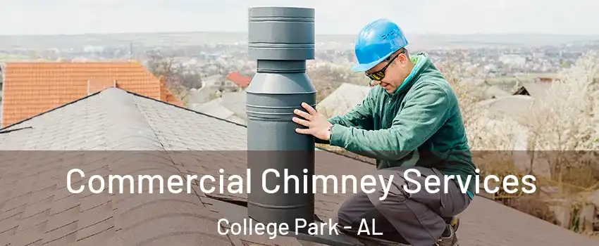 Commercial Chimney Services College Park - AL