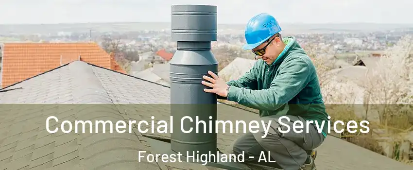 Commercial Chimney Services Forest Highland - AL