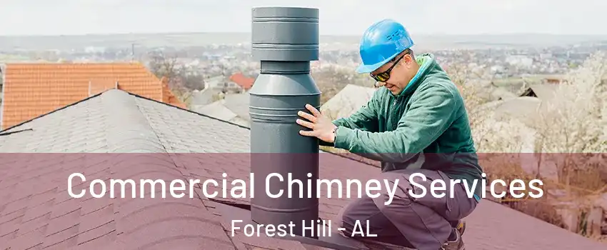 Commercial Chimney Services Forest Hill - AL
