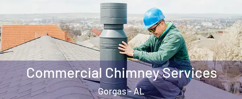 Commercial Chimney Services Gorgas - AL