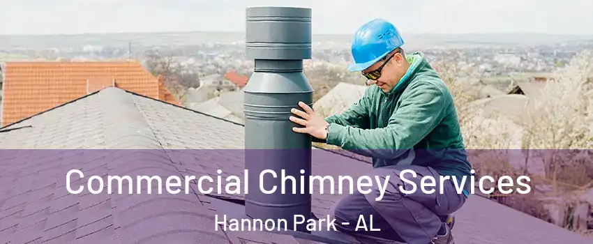 Commercial Chimney Services Hannon Park - AL