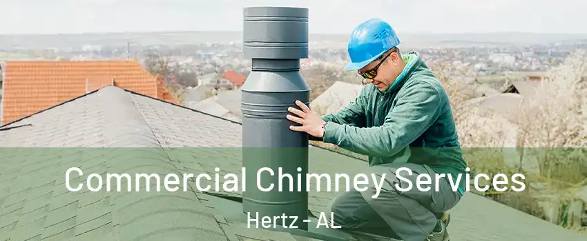 Commercial Chimney Services Hertz - AL