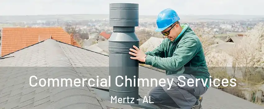 Commercial Chimney Services Mertz - AL