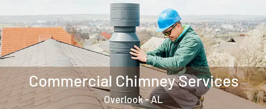 Commercial Chimney Services Overlook - AL