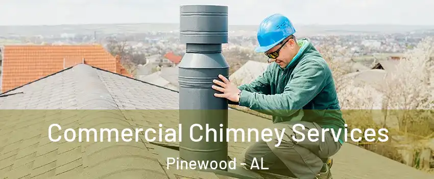 Commercial Chimney Services Pinewood - AL