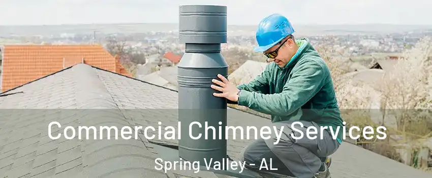 Commercial Chimney Services Spring Valley - AL