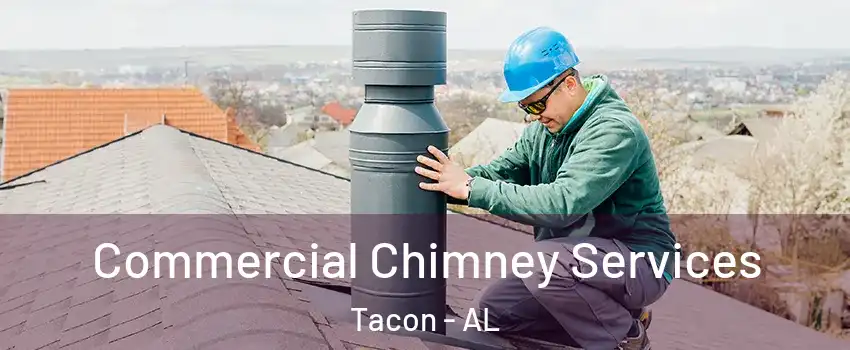 Commercial Chimney Services Tacon - AL