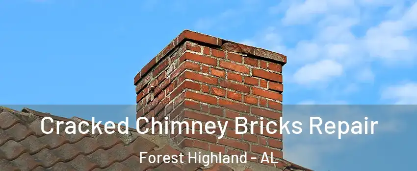 Cracked Chimney Bricks Repair Forest Highland - AL