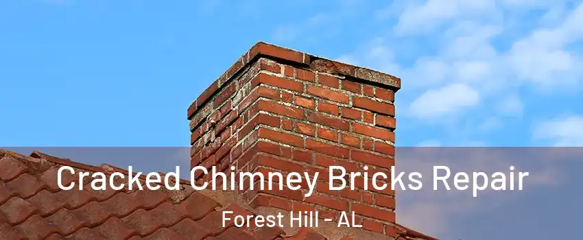 Cracked Chimney Bricks Repair Forest Hill - AL