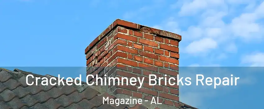 Cracked Chimney Bricks Repair Magazine - AL