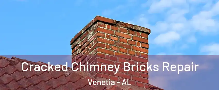 Cracked Chimney Bricks Repair Venetia - AL