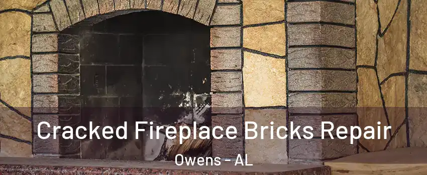 Cracked Fireplace Bricks Repair Owens - AL