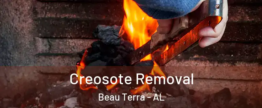 Creosote Removal Beau Terra - AL