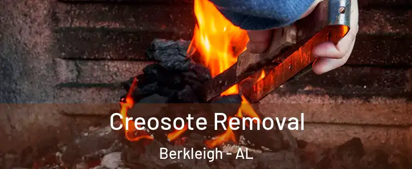 Creosote Removal Berkleigh - AL