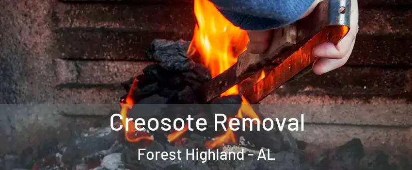 Creosote Removal Forest Highland - AL