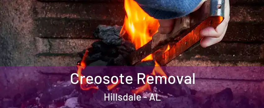 Creosote Removal Hillsdale - AL