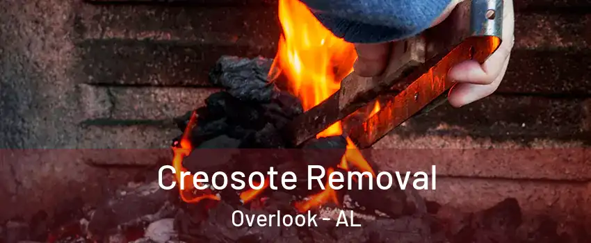 Creosote Removal Overlook - AL